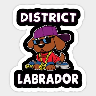 District Labrador cool Hip Hop Dogs Design Sticker